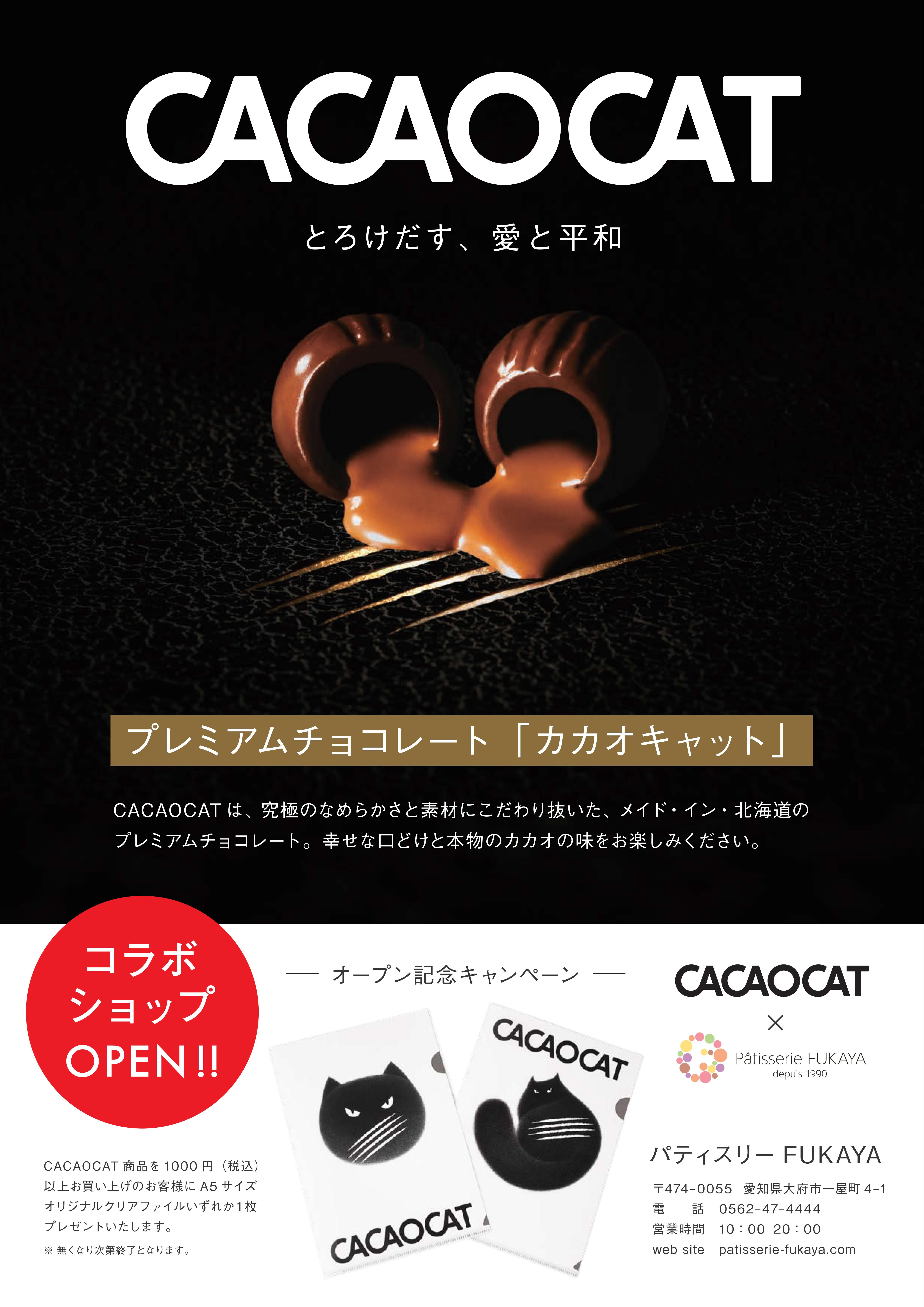 大府本店 チョコレート専門店 Cacao Cat オープン パティスリーfukaya